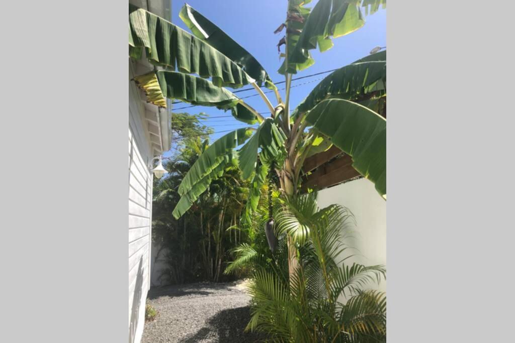 Ks Villa La Coulee 4 Etoiles Saint-Francois (Grande-Terre) Exterior foto